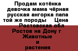 Продам котёнка,девочка,мама чёрная русская ангорка,папа той же породы) › Цена ­ 250 - Ростовская обл., Ростов-на-Дону г. Животные и растения » Кошки   . Ростовская обл.,Ростов-на-Дону г.